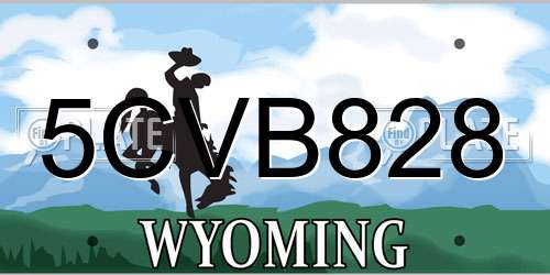 5CVB828 Wyoming License Plate