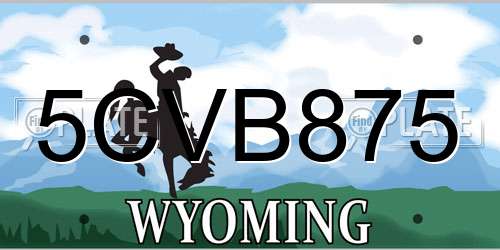 5CVB875 Wyoming License Plate