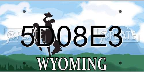 5D08E3 Wyoming License Plate