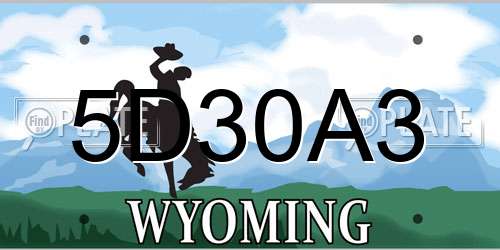 5D30A3 Wyoming License Plate