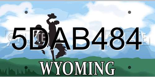 5DAB484 Wyoming License Plate