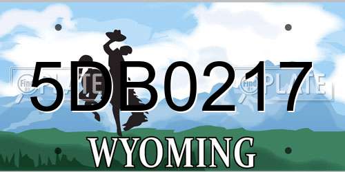 5DB0217 Wyoming License Plate