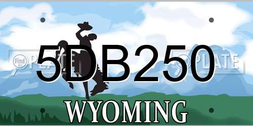 5DB250 Wyoming License Plate