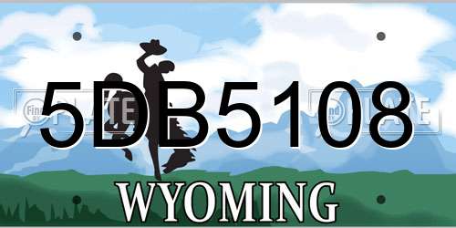 5DB5108 Wyoming License Plate