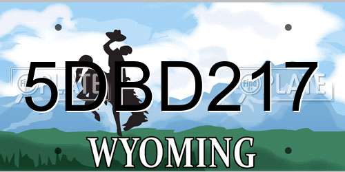 5DBD217 Wyoming License Plate