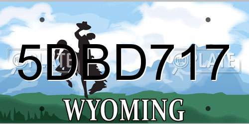 5DBD717 Wyoming License Plate