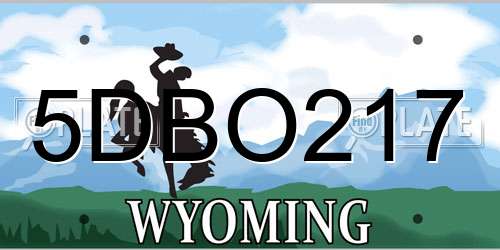 5DBO217 Wyoming License Plate