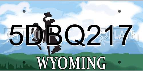 5DBQ217 Wyoming License Plate