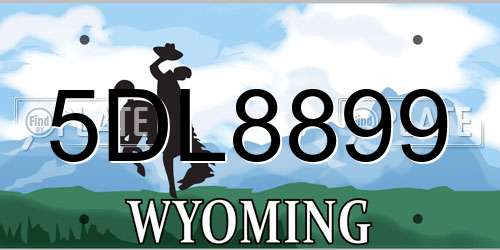 5DL8899 Wyoming License Plate