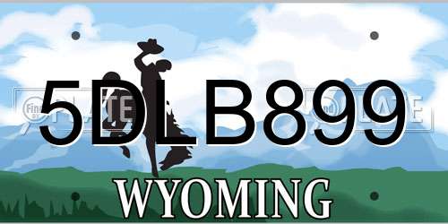 5DLB899 Wyoming License Plate