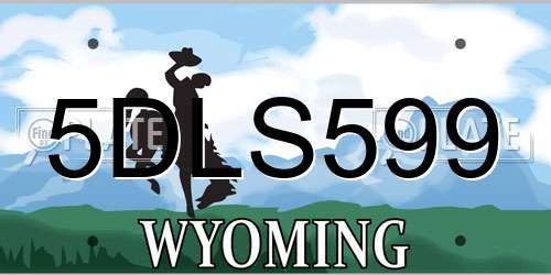 5DLS599 Wyoming License Plate