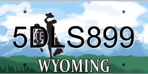 5DLS899 Wyoming License Plate