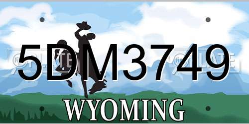 5DM3749 Wyoming License Plate