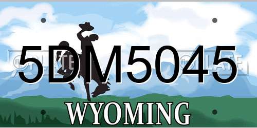 5DM5045 Wyoming License Plate