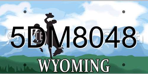5DM8048 Wyoming License Plate