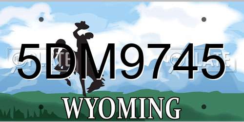 5DM9745 Wyoming License Plate