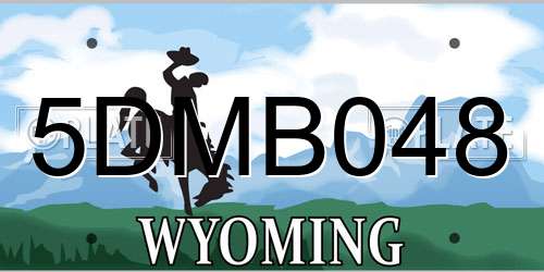 5DMB048 Wyoming License Plate
