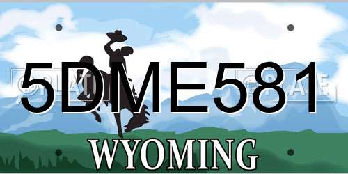 5DME581 Wyoming License Plate