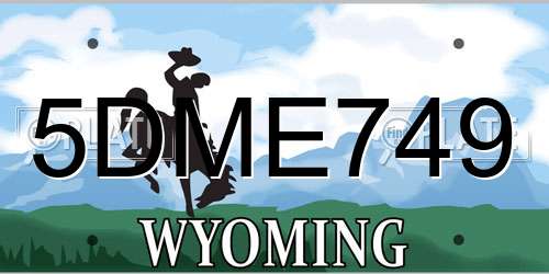 5DME749 Wyoming License Plate