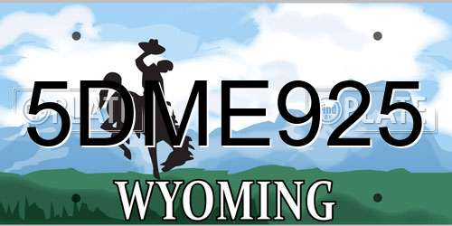 5DME925 Wyoming License Plate