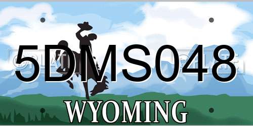 5DMS048 Wyoming License Plate