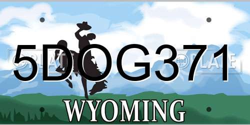 5DOG371 Wyoming License Plate