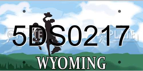 5DS0217 Wyoming License Plate