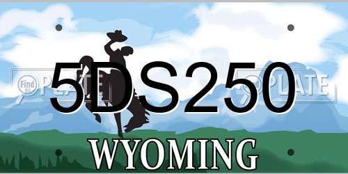 5DS250 Wyoming License Plate