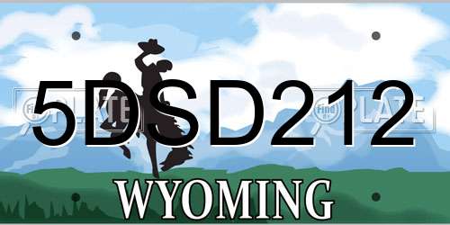 5DSD212 Wyoming License Plate