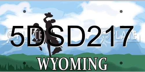 5DSD217 Wyoming License Plate