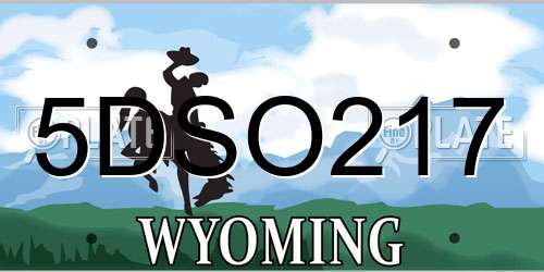 5DSO217 Wyoming License Plate