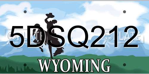 5DSQ212 Wyoming License Plate