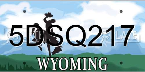 5DSQ217 Wyoming License Plate