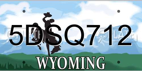 5DSQ712 Wyoming License Plate