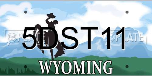 5DST11 Wyoming License Plate