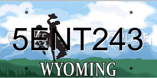5ENT243 Wyoming License Plate
