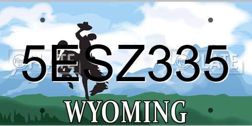 5ESZ335 Wyoming License Plate