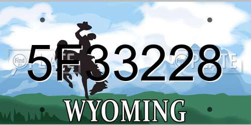 5F33228 Wyoming License Plate