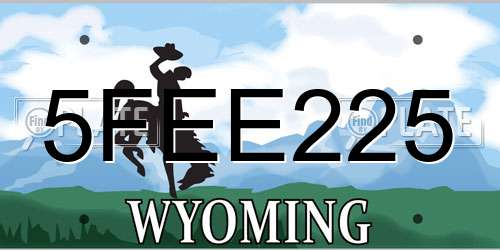 5FEE225 Wyoming License Plate