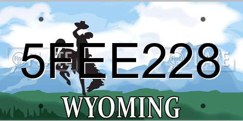 5FEE228 Wyoming License Plate