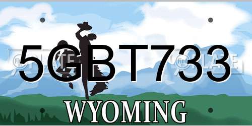 5GBT733 Wyoming License Plate
