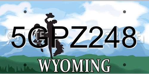 5GPZ248 Wyoming License Plate