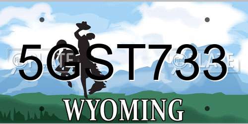5GST733 Wyoming License Plate