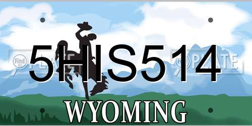 5HIS514 Wyoming License Plate