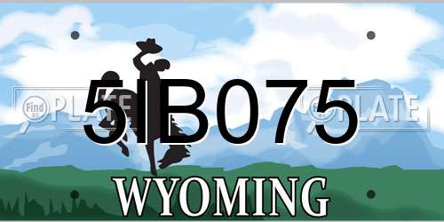 5IB075 Wyoming License Plate