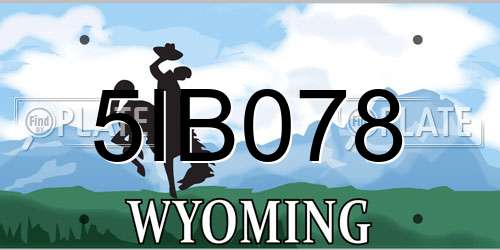 5IB078 Wyoming License Plate