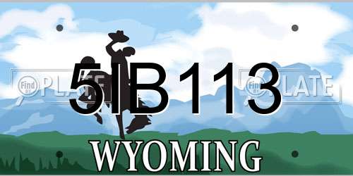 5IB113 Wyoming License Plate