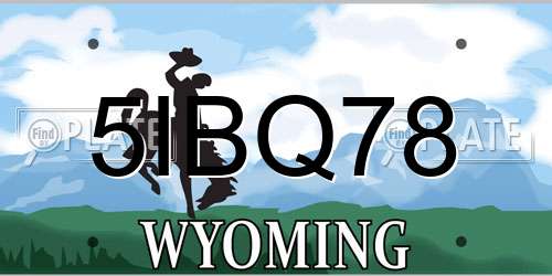 5IBQ78 Wyoming License Plate