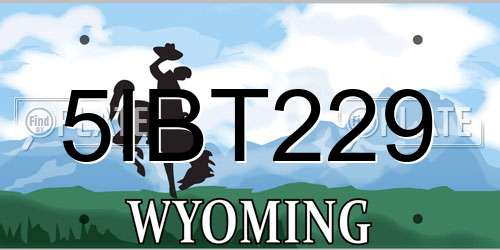 5IBT229 Wyoming License Plate