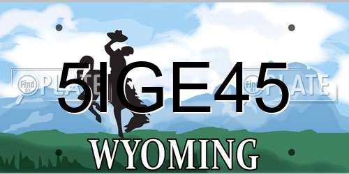 5IGE45 Wyoming License Plate